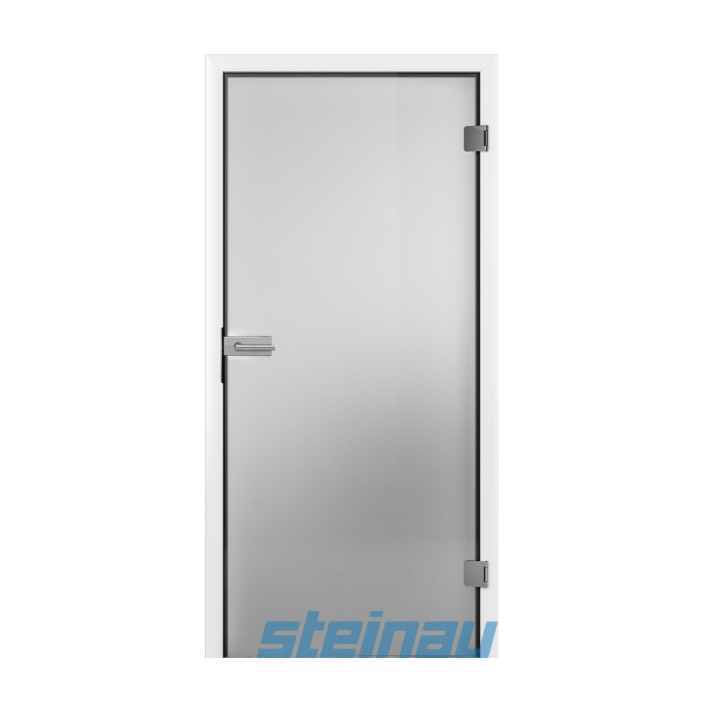 Wohnraumtür Ganzglas mit exklusiver Durat®-Zarge